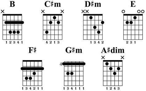 B Major Scale: Fretboard Diagrams, Chords, Notes and Charts - Guitar Gear Finder