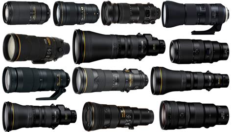 The Best Telephoto Lenses for Nikon Cameras (2024)