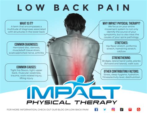 Lower Back Pain Diagnosis Chart