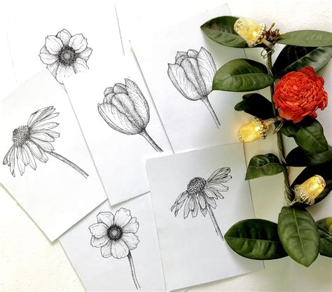 Floral Illustration- Learn to draw Assorted Flowers- Ink Pen Sketching ...