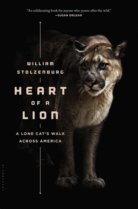 Heart of a Lion: A Lone Cat's Walk Across America | NHBS Academic ...