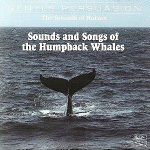 Sounds & Songs of the Humpback - Sounds & Songs of the Humpback Whale ...