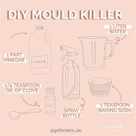 Your Survival Guide For Mould: Natural DIY Mould Killers & Prevention ...