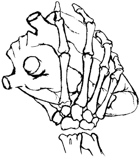 Skeleton Hand Holding Heart by GigglesChook on DeviantArt