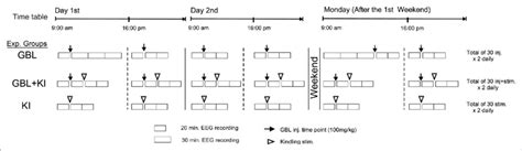 Design of the Gamma-butyrolactone (GBL), Kindling (KI) and GBL+KI ...