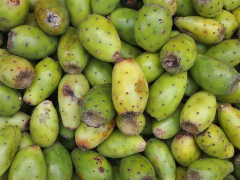 How to Harvest & Eat Prickly Pear Cactus Fruit