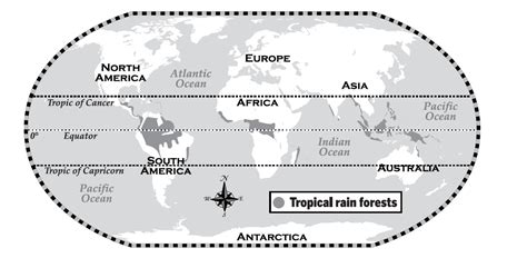 nature and wildlife - Where lies the closest tropical rain forest to ...