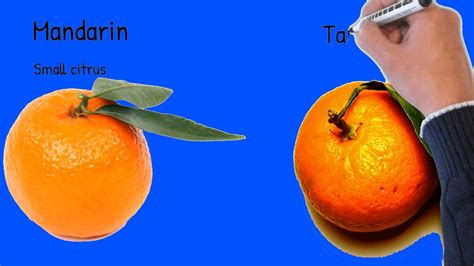 Mandarin Health effects; Mandarin vs Tangerine - YouTube