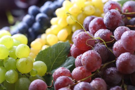 Why are grape varieties blended? - FreshMAG