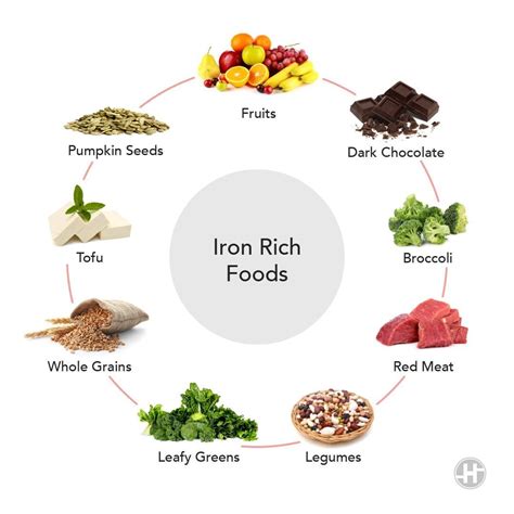 Iron Rich Foods – 8 Foods to Add to Your Diet – Domajax