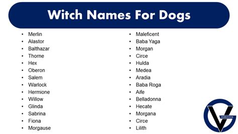 Witch Names For Dogs – Male & Female - GrammarVocab