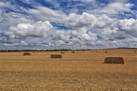 Straw bales after harvest stock image. Image of corn - 58840855