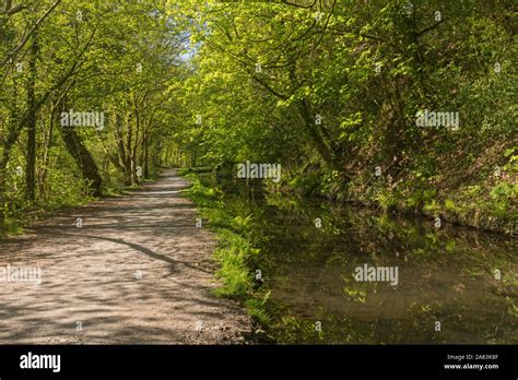 Swansea Canal between Clydach and Pontardawe, South Wales, UK Stock Photo - Alamy