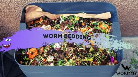 Worm Bedding - The Best Materials for Healthy, Happy Worms