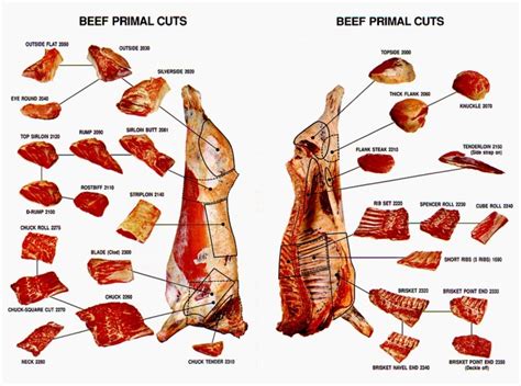 Meat Cuts - Durban Halaal Meats