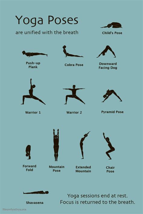 Yoga Poses For Beginners Pictures - Work Out Picture Media - Work Out Picture Media