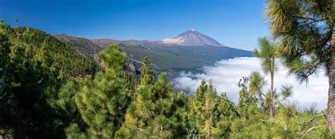 Trekking in Tenerife | self-guided walking holiday