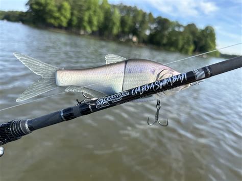 Best Swimbait Rods of 2023, Tested and Reviewed | Outdoor Life