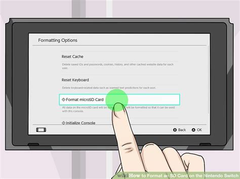 How to Format an SD Card on the Nintendo Switch: 8 Steps