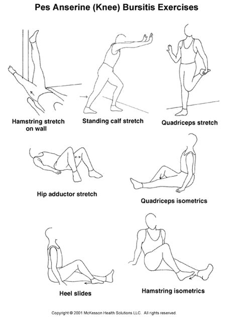 pes anserine bursitis exercises | Bursitis knee, Bursitis, Pes anserine bursitis