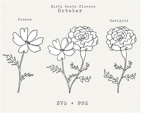 Marigold Flower SVG Cosmos Flower SVG October Birth Month - Etsy