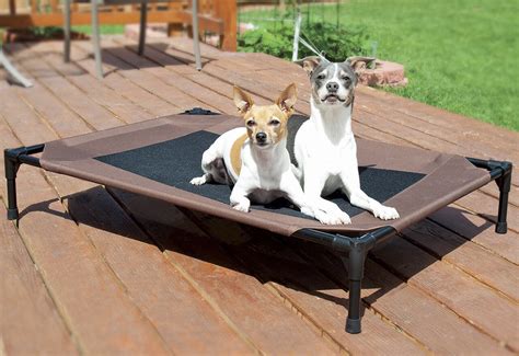 [BIG SALE] Durable Dog Beds for Every Breed You’ll Love In 2021 | Wayfair