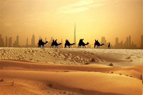 Full-day Dubai small group tour and evening desert safari | musement