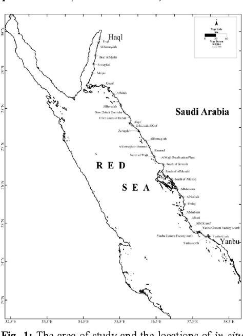 Map Red Sea Coral Reef - Share Map