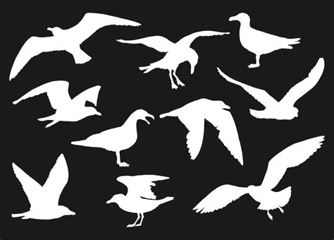 Premium Vector | Set of silhouette of flying seagulls hand drawn illustration converted to vector