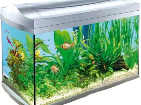 Fish Tank Heater Guide - Radio Kultura - People Making Technology Work