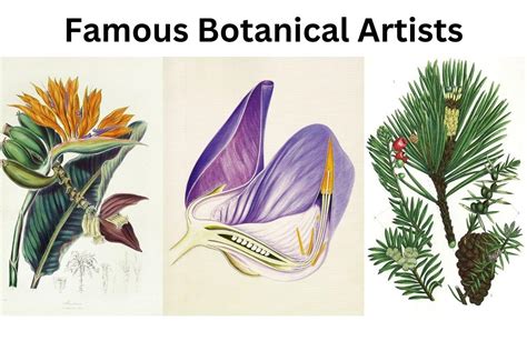 10 Most Famous Botanical Artists - Artst