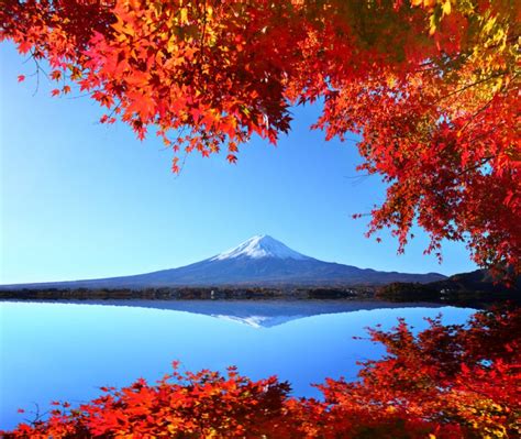 Autumn Colors in Japan: 2017 Fall Foliage Forecast - Japan Rail Pass