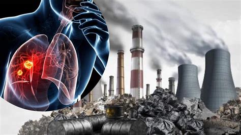 Lung Cancer On The Rise In India, Experts Say Air Pollution Is The Root ...