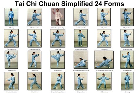 sports@fresh: Tai Chi for Beginners