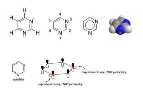 Pyrimidine