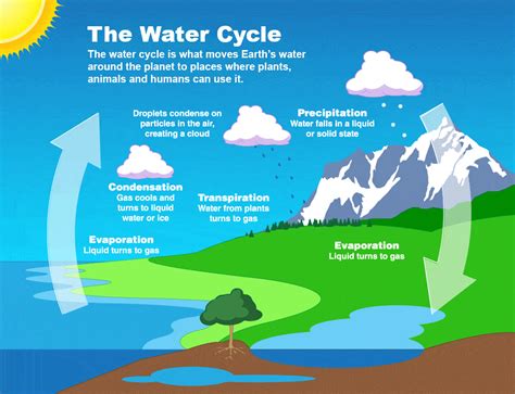 Water Cycle – Green Heart STEM Challenge