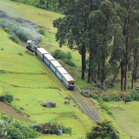 Experience The Joy Of The Ooty Toy Train | LBB, Bangalore