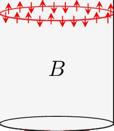 (Color online) Cylinder geometry with Ly L. A probability pi is... | Download Scientific Diagram