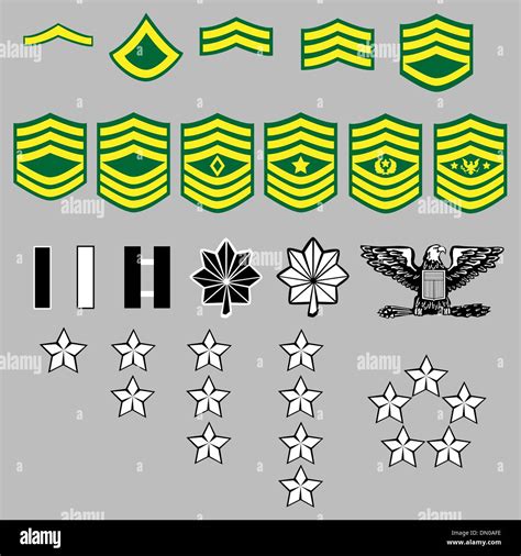 US Army rank insignia Stock Vector Image & Art - Alamy