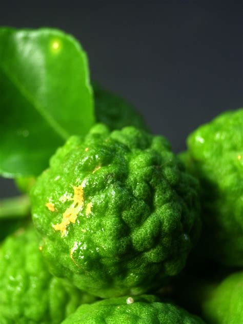 Bergamot fruit photo 2215408 Stock Photo at Vecteezy