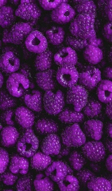 Purple Fruit Wallpapers - Top Free Purple Fruit Backgrounds - WallpaperAccess