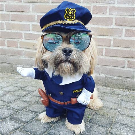 Dog Costumes - Suits Various styles & Sizes Nurse, Policeman, etc.