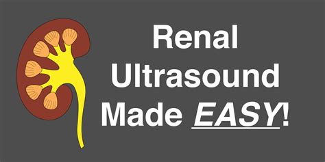 Renal Ultrasound Made Easy: Step-By-Step Guide - POCUS 101