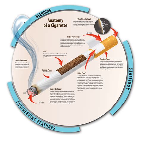 History of Tobacco Policy | Exhibits for Display