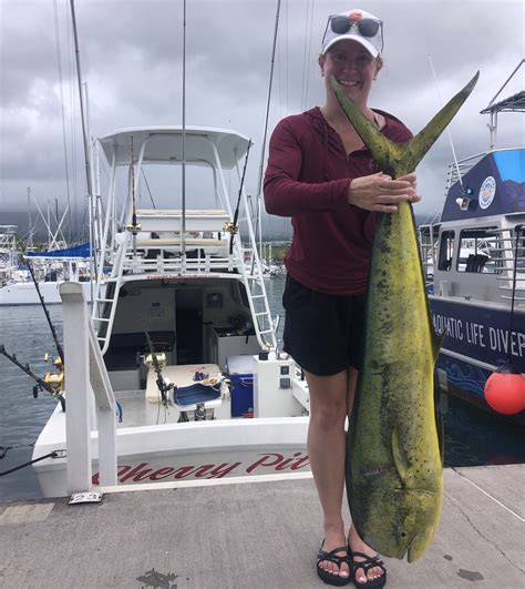 Everything You Need to Know About Mahi Mahi Season 2022