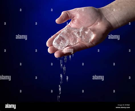 Hand Holding Melting Ice Cubes Stock Photo - Alamy