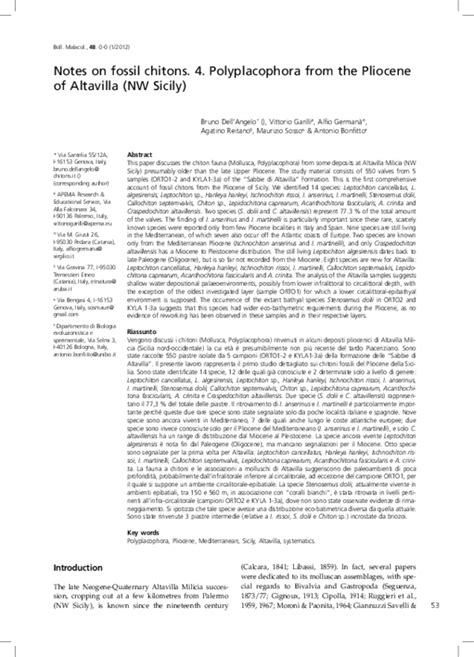 (PDF) Notes on fossil chitons. 4. Polyplacophora from the Pliocene of Altavilla (NW Sicily ...