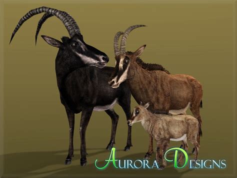 Giant Sable Antelope (Aurora Designs) | ZT2 Download Library Wiki | FANDOM powered by Wikia