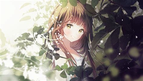 Brown Hair Anime Wallpapers - Top Free Brown Hair Anime Backgrounds - WallpaperAccess