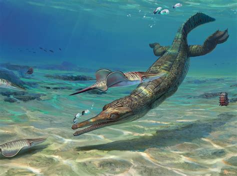 New ancient 'marine crocodile' discovered on UK's Jurassic Coast one of the oldest specimens of ...